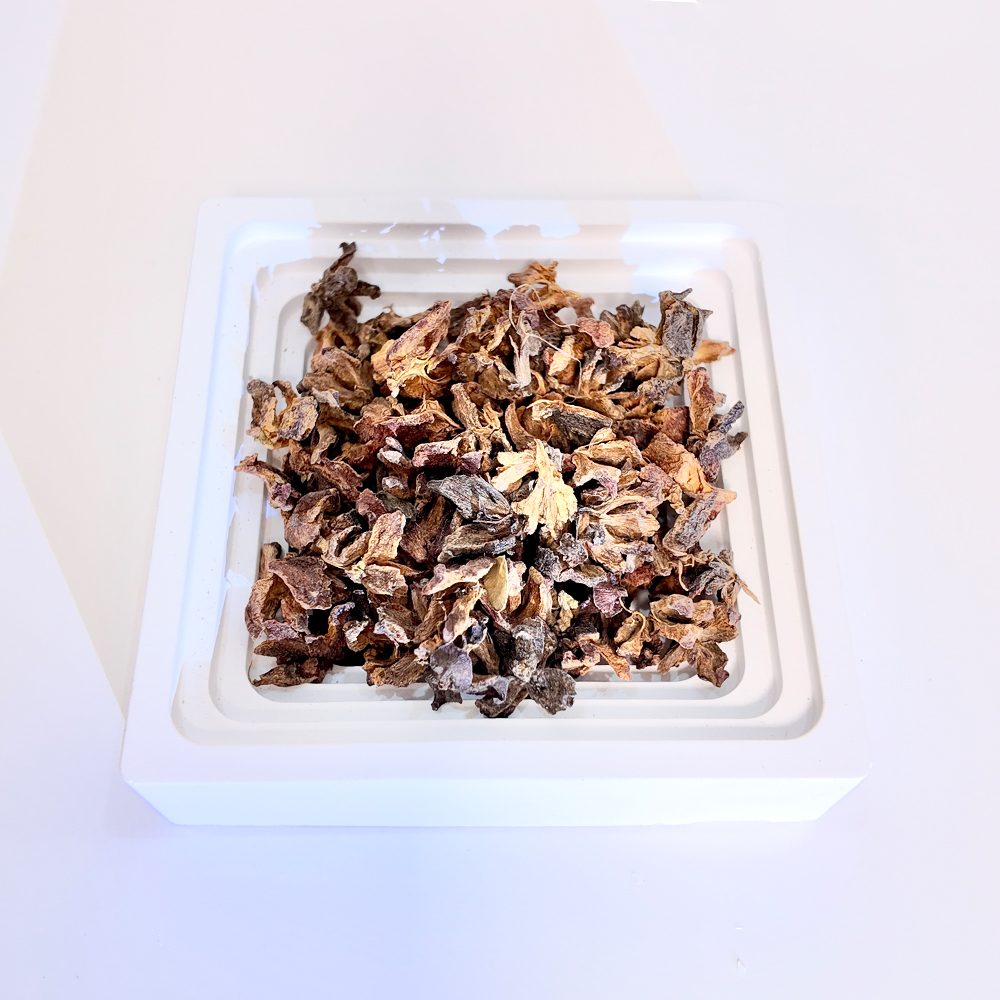 Platycladus Seed Husk