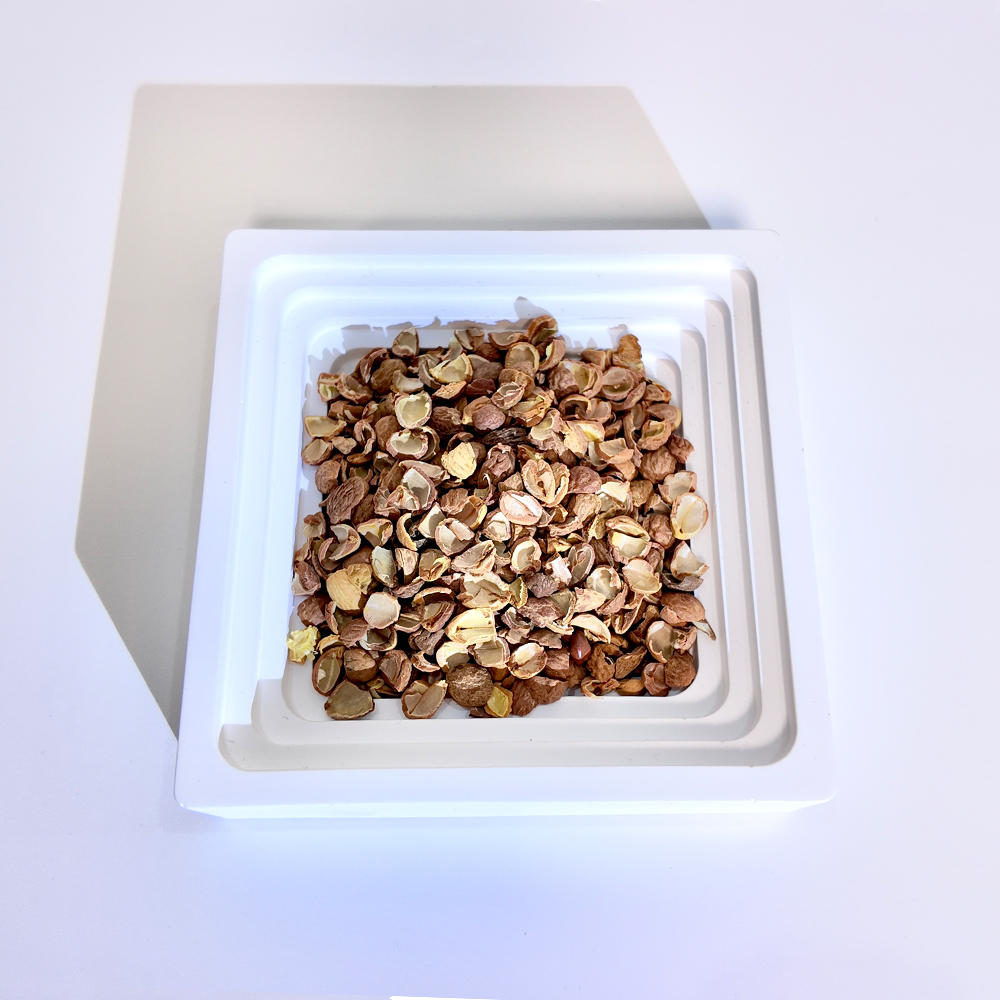 Sour Jujube Seed Coat