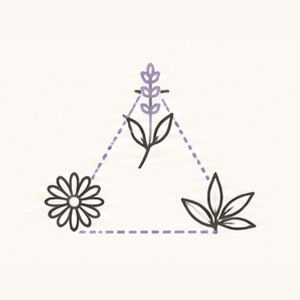 24 Real Dried Botanicals