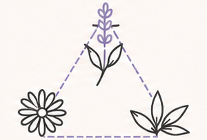 24 Real Dried Botanicals