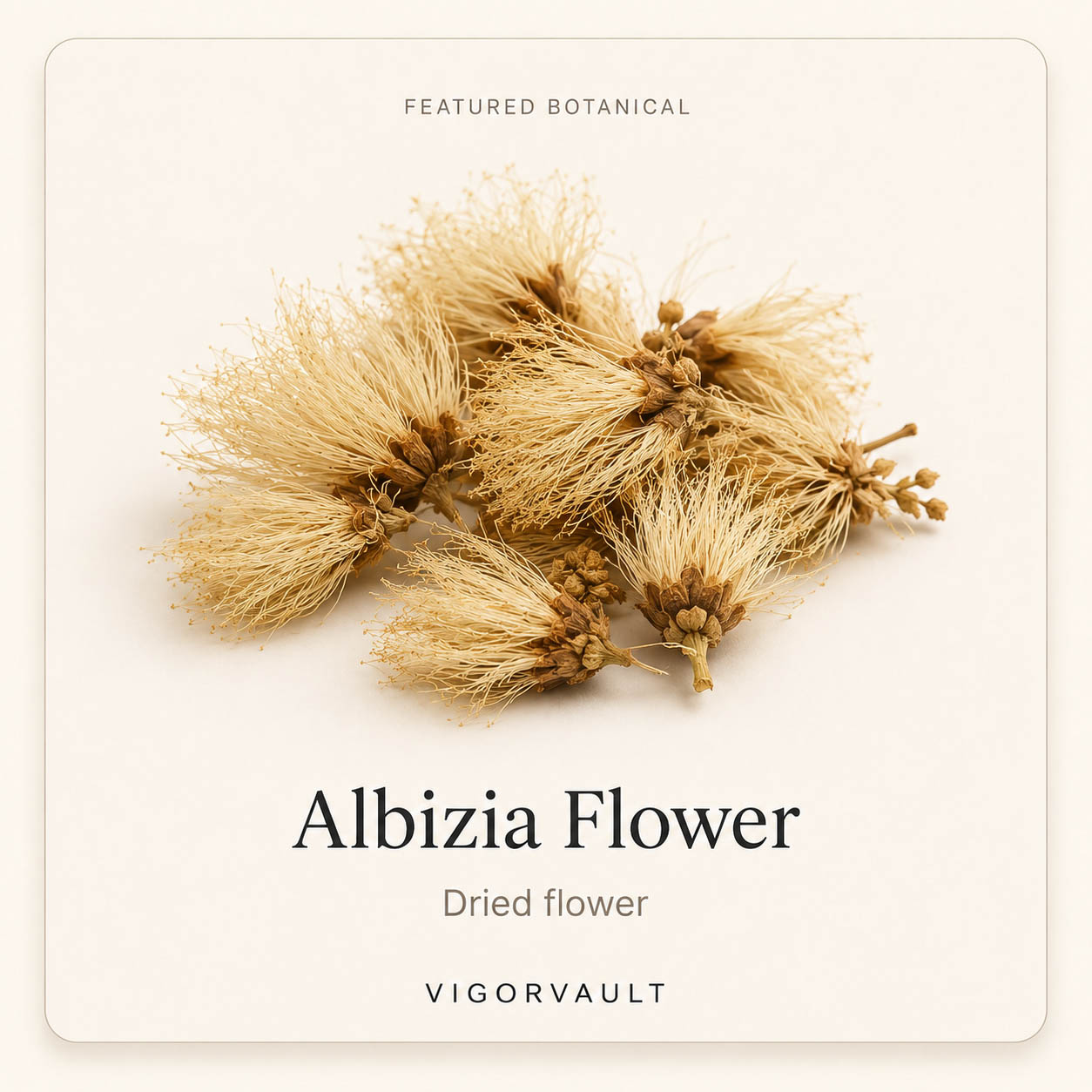 Albizia Flower