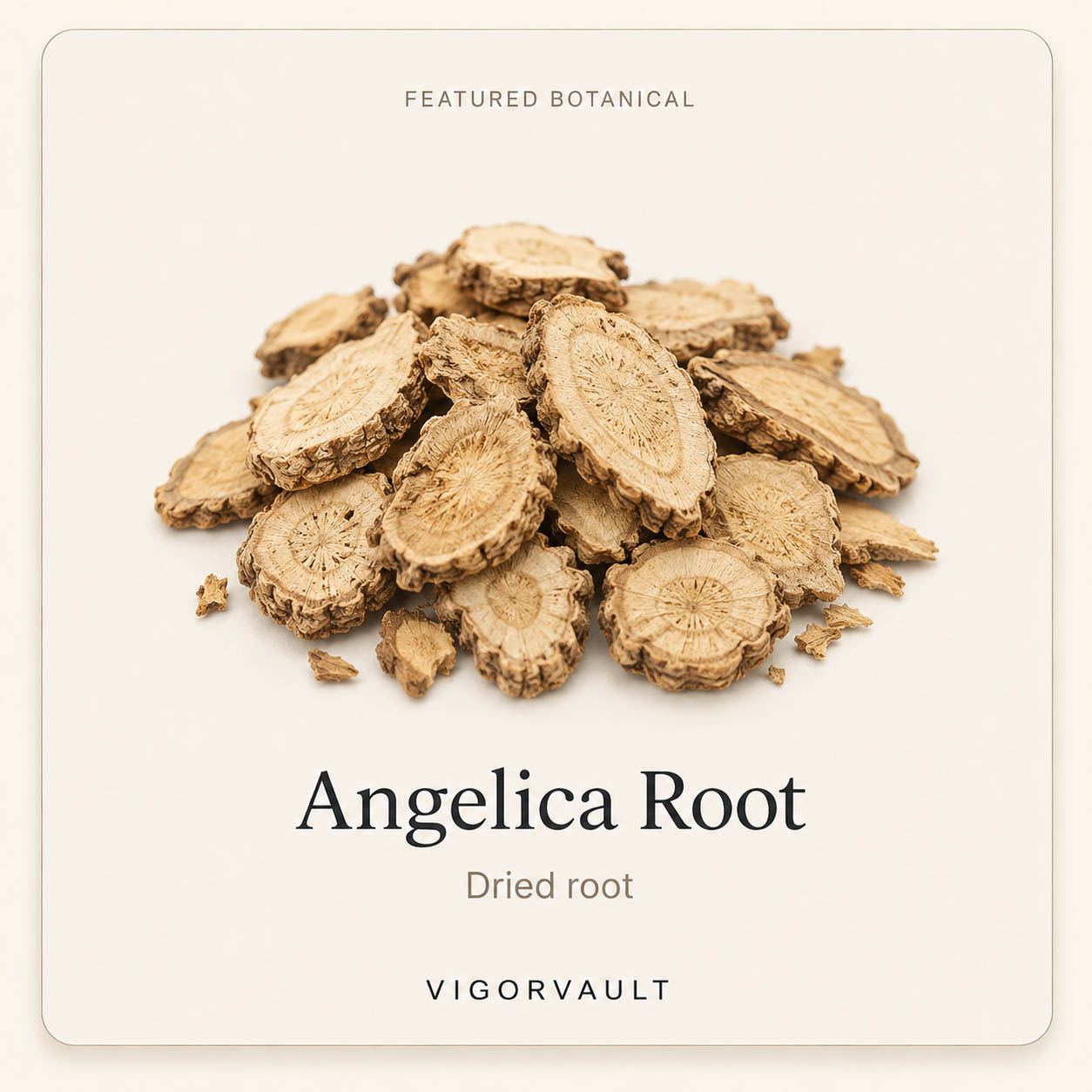 Angelica Root