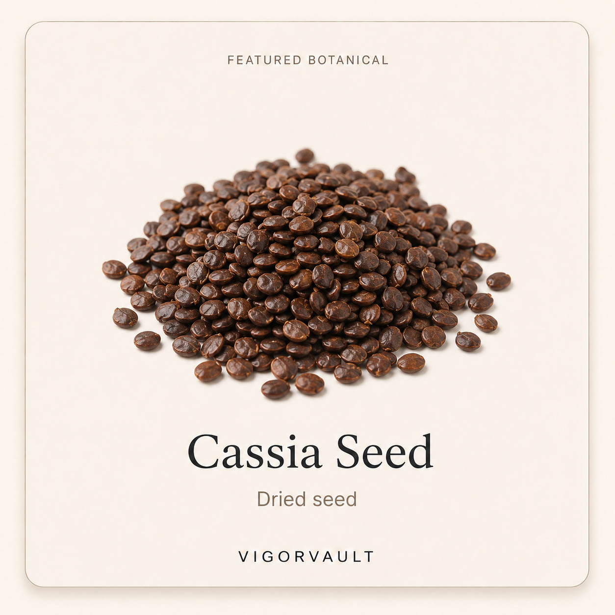 Cassia Seed