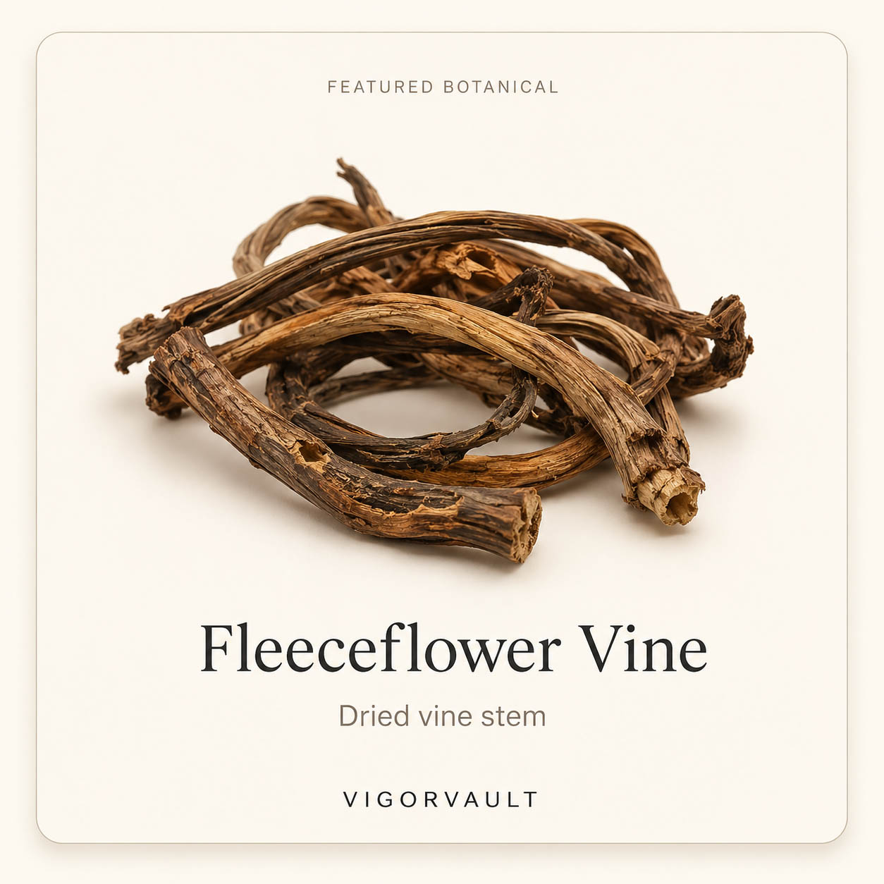 Fleeceflower Vine