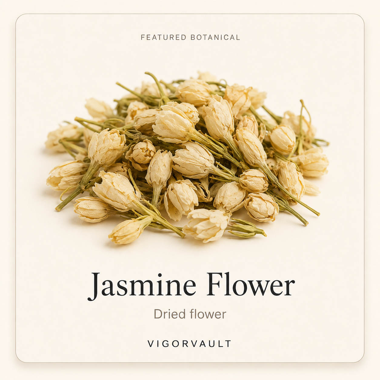 Jasmine Flower