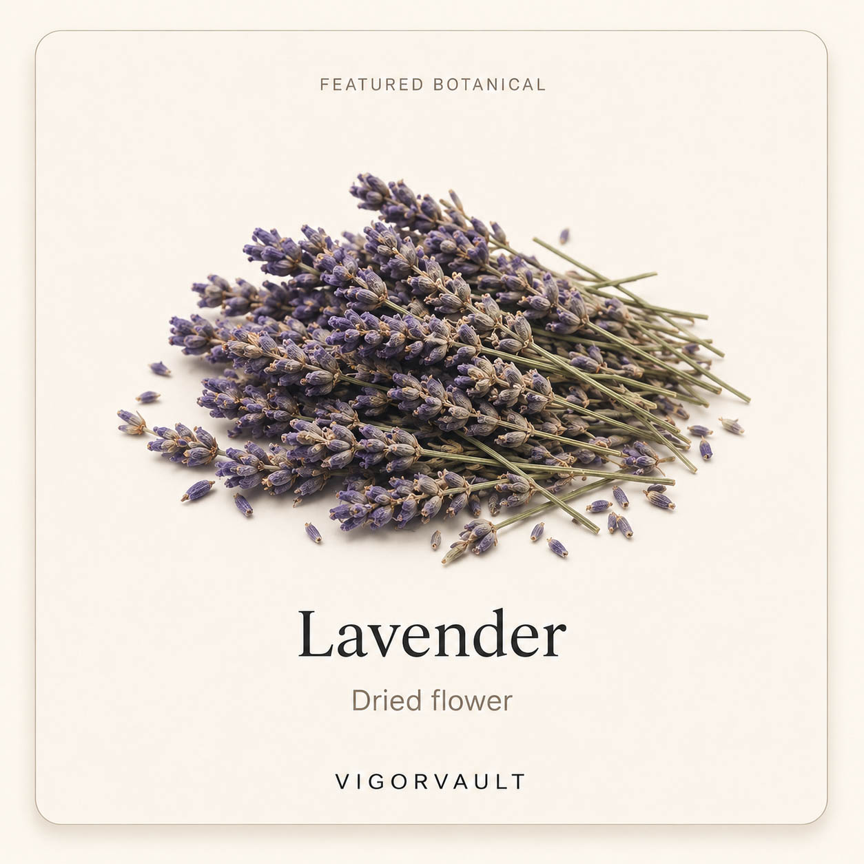 Lavender