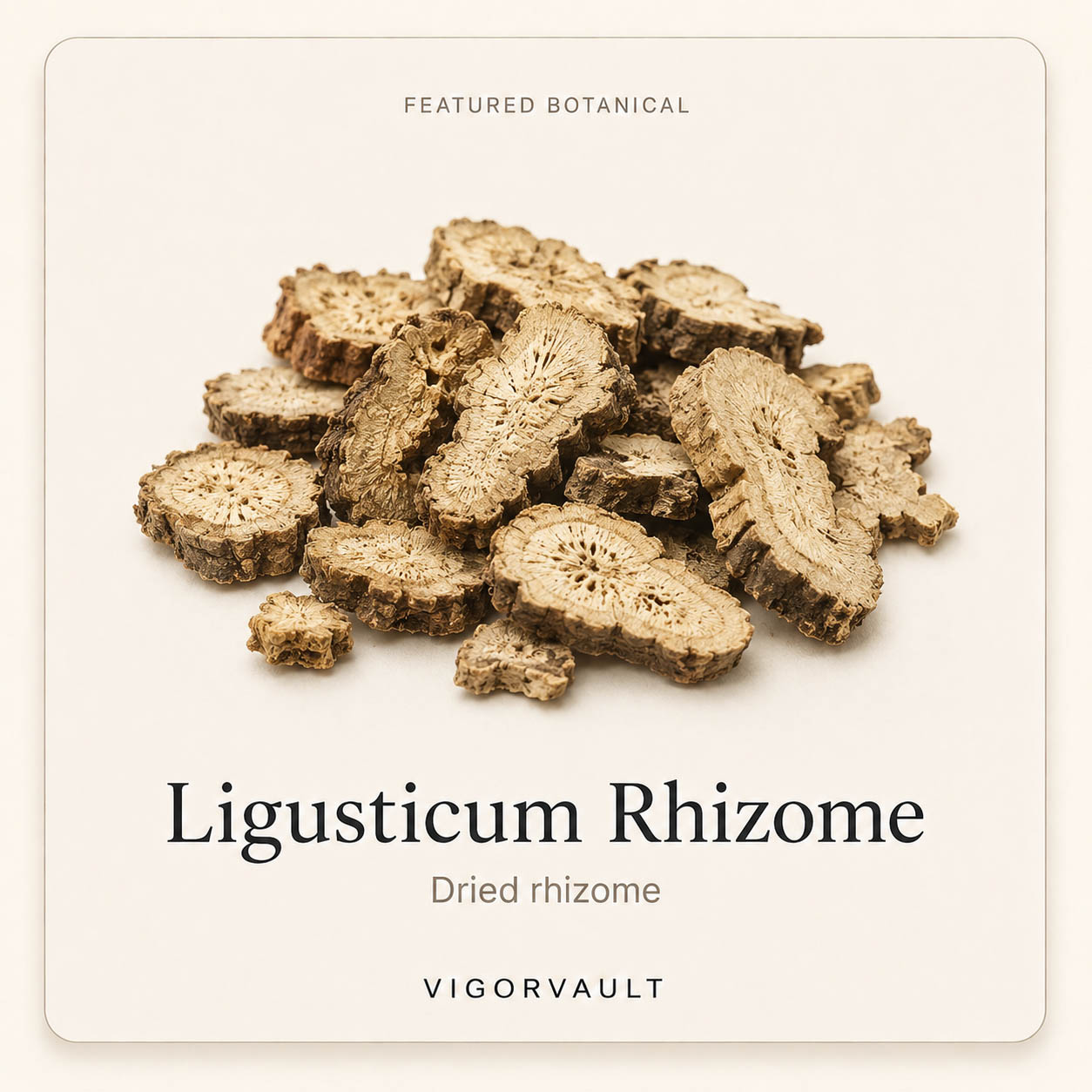 Ligusticum Rhizome