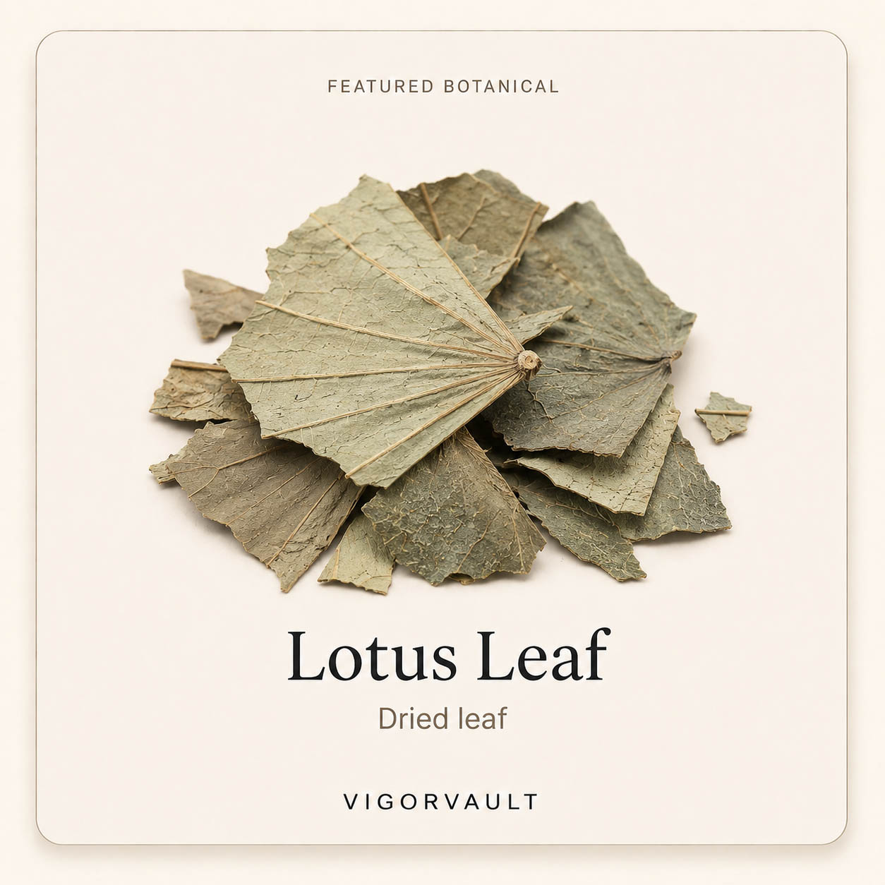 Lotus Leaf