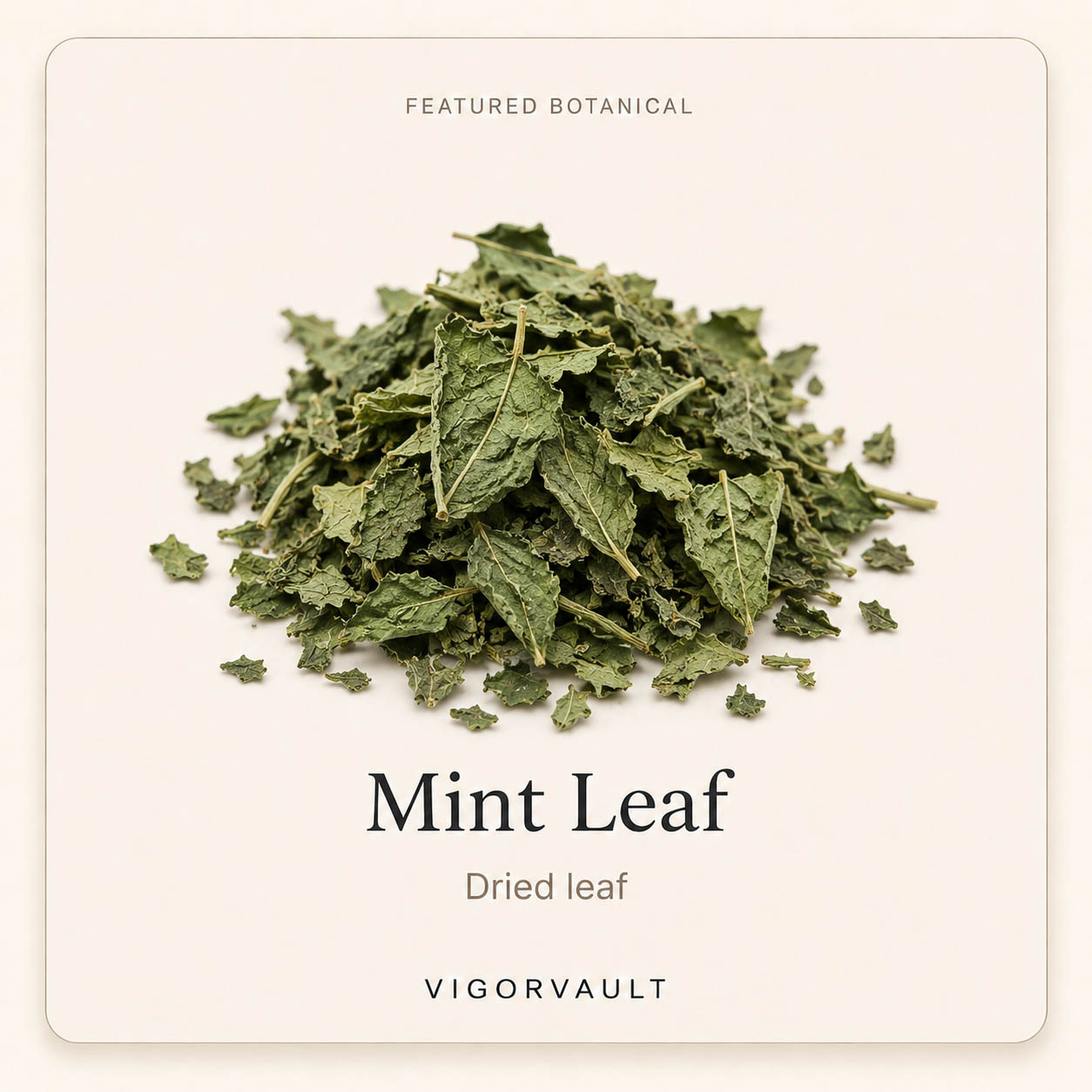 Mint Leaf