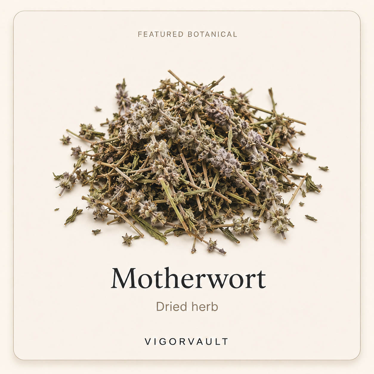 Motherwort