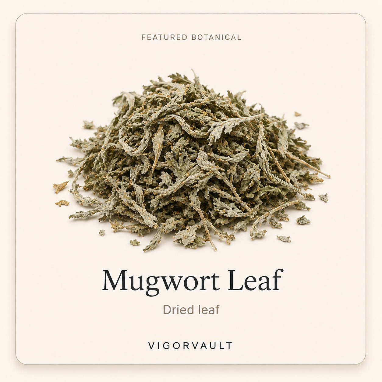 Mugwort Leaf