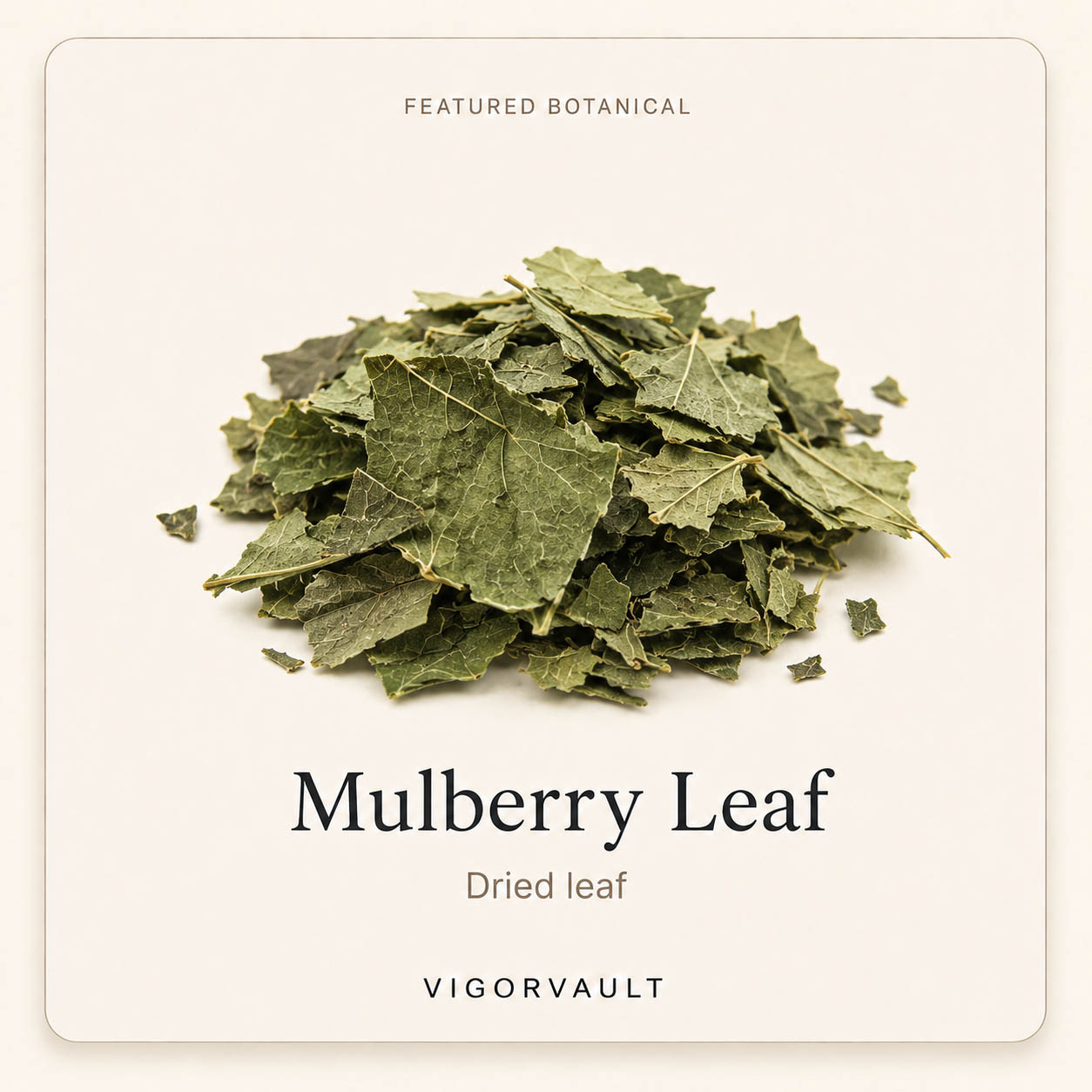 Mulberry Leaf