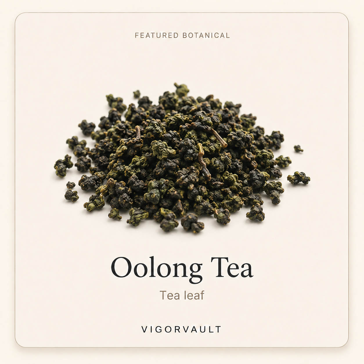 Oolong Tea