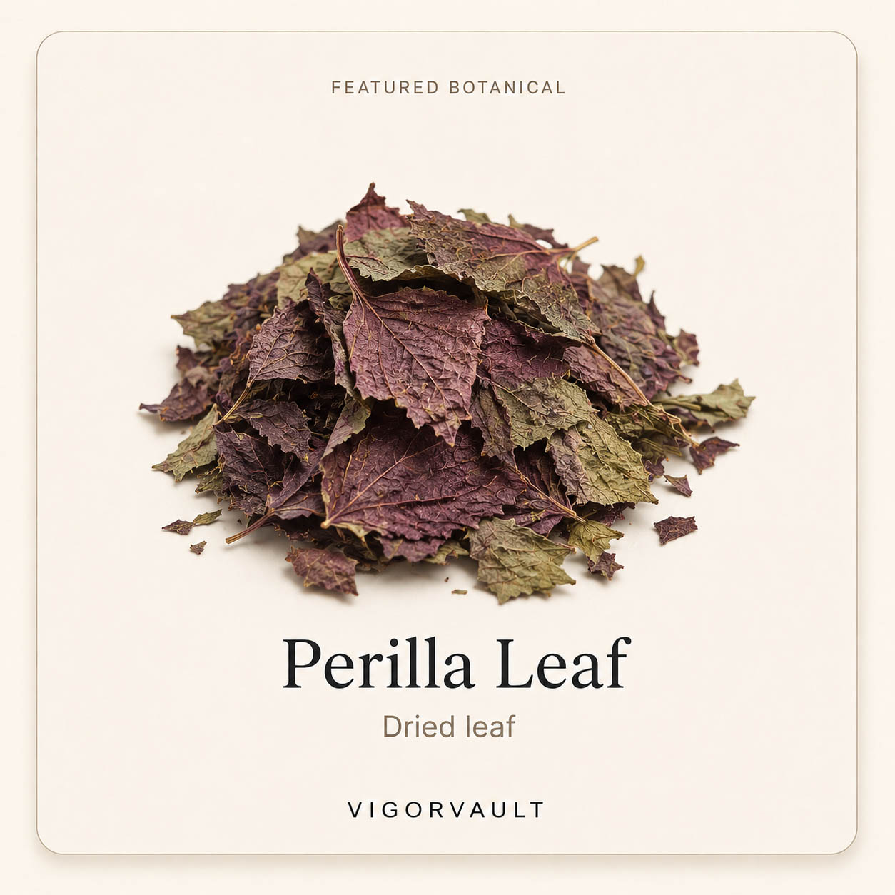 Perilla Leaf