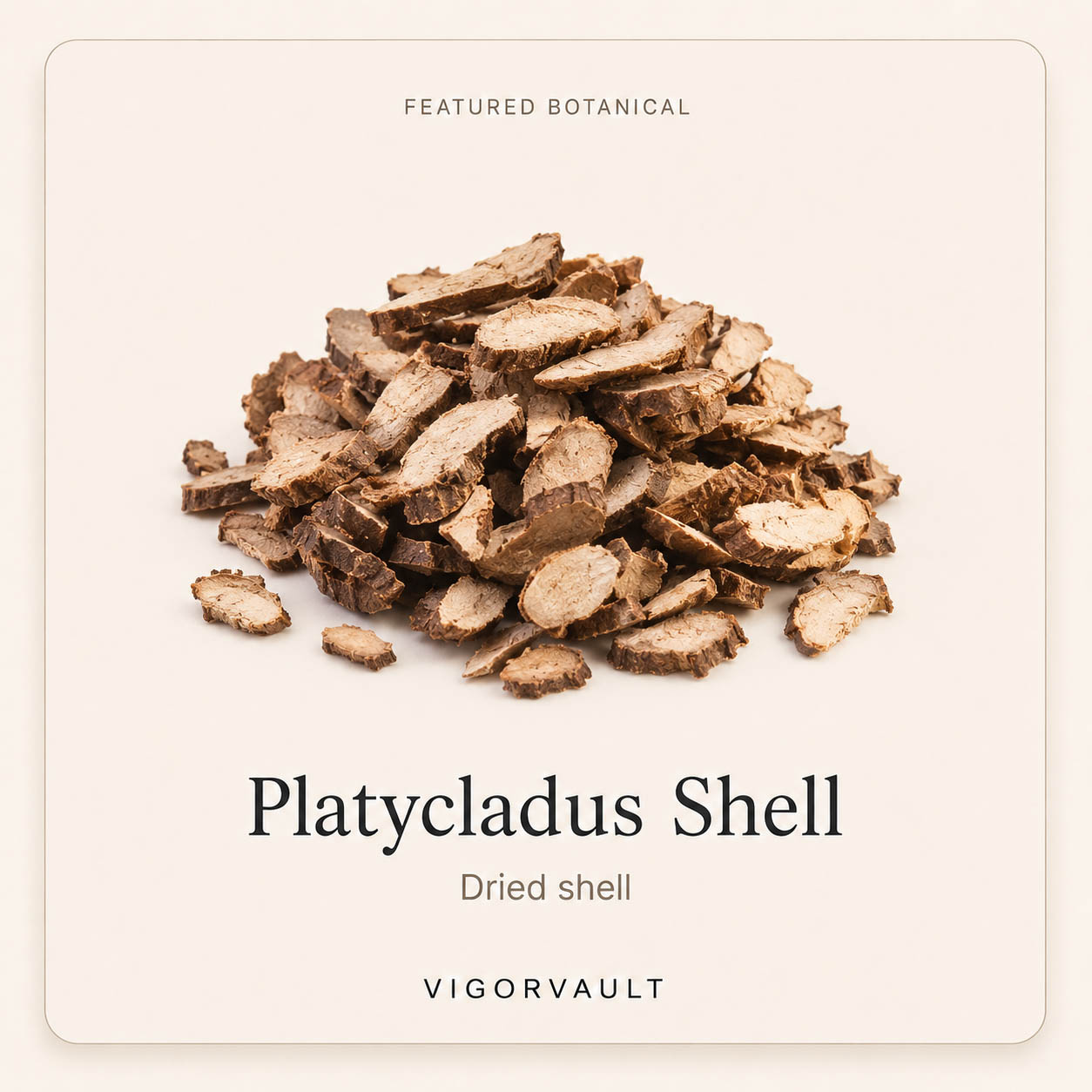 Platycladus Shell