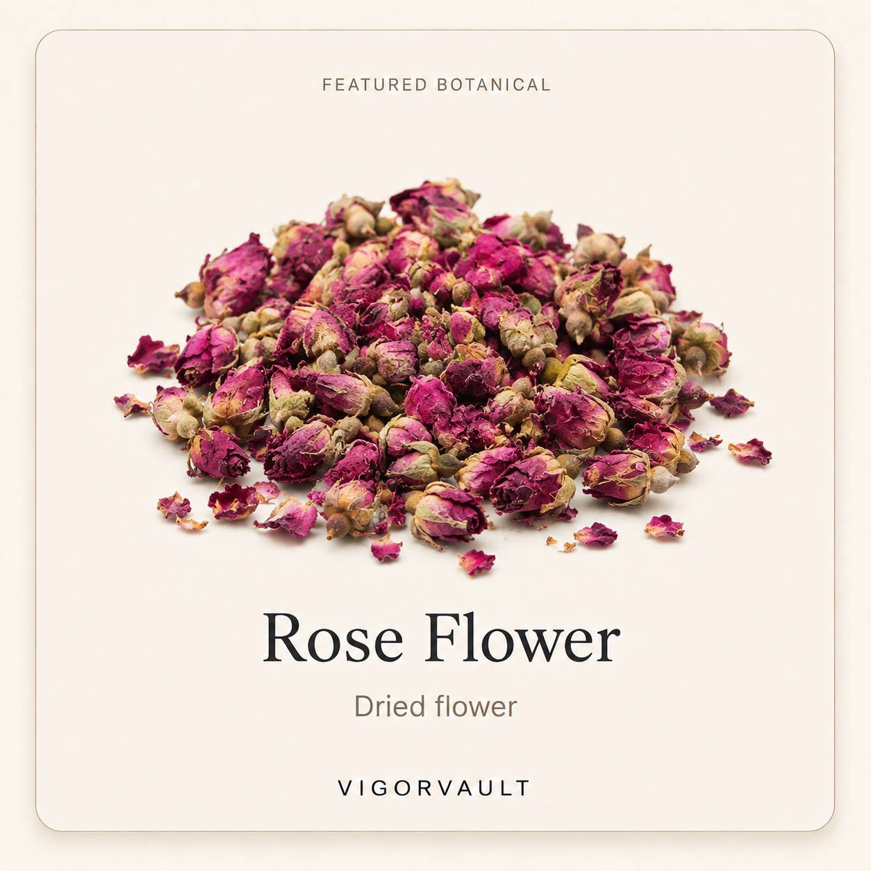 Rose Flower