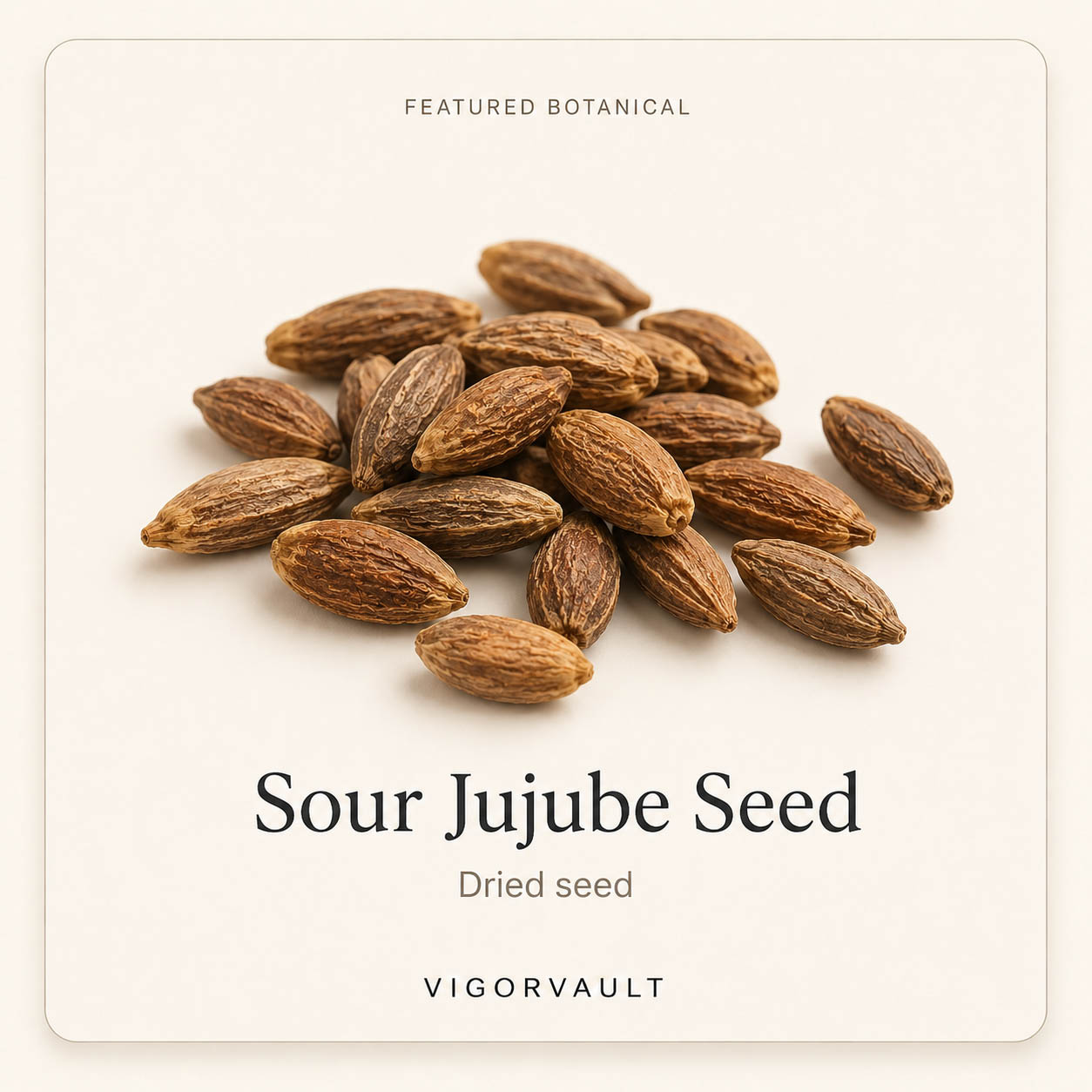 Sour Jujube Seed