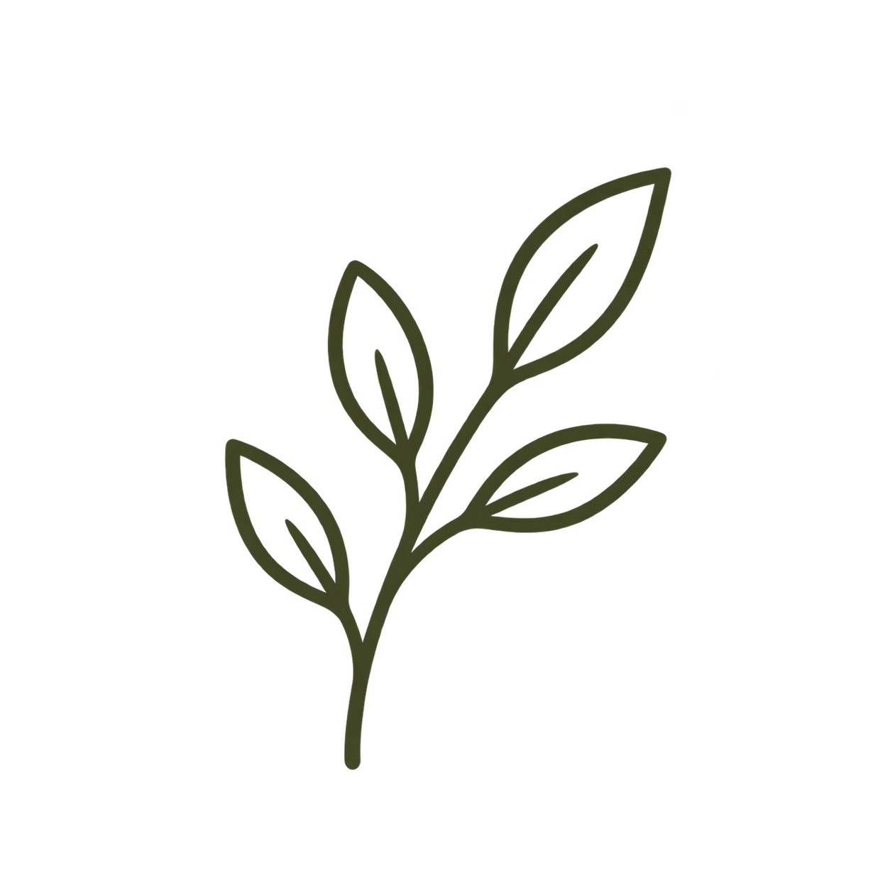 24 Real Dried Botanicals Icon