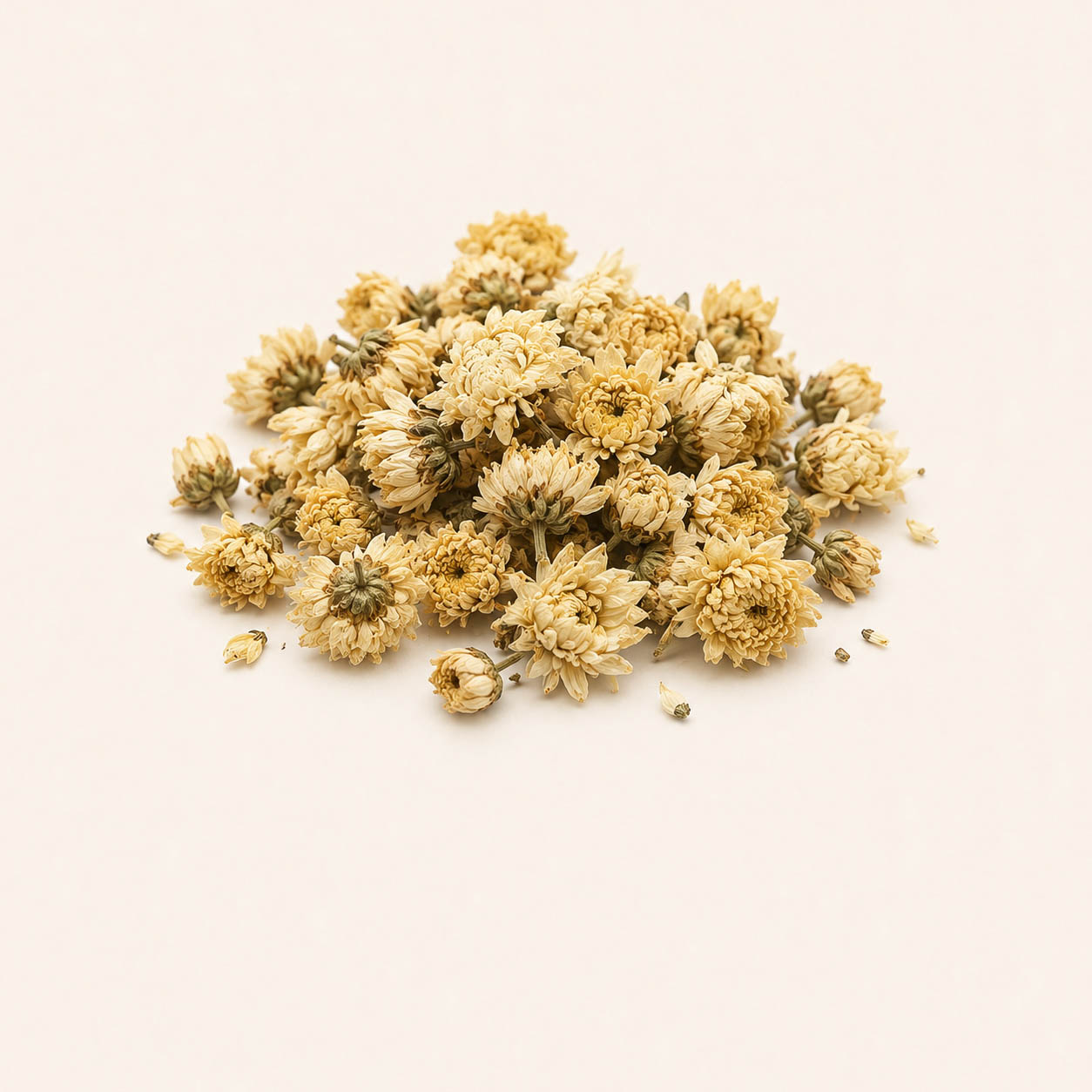 Chrysanthemum