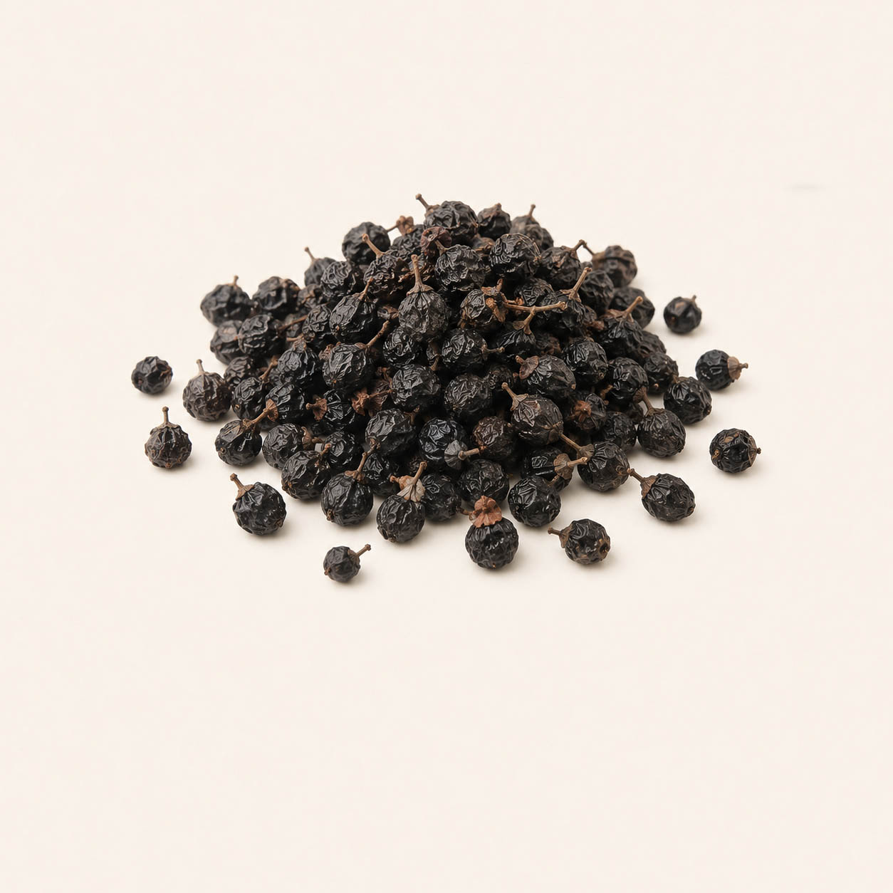 Glossy Privet Fruit