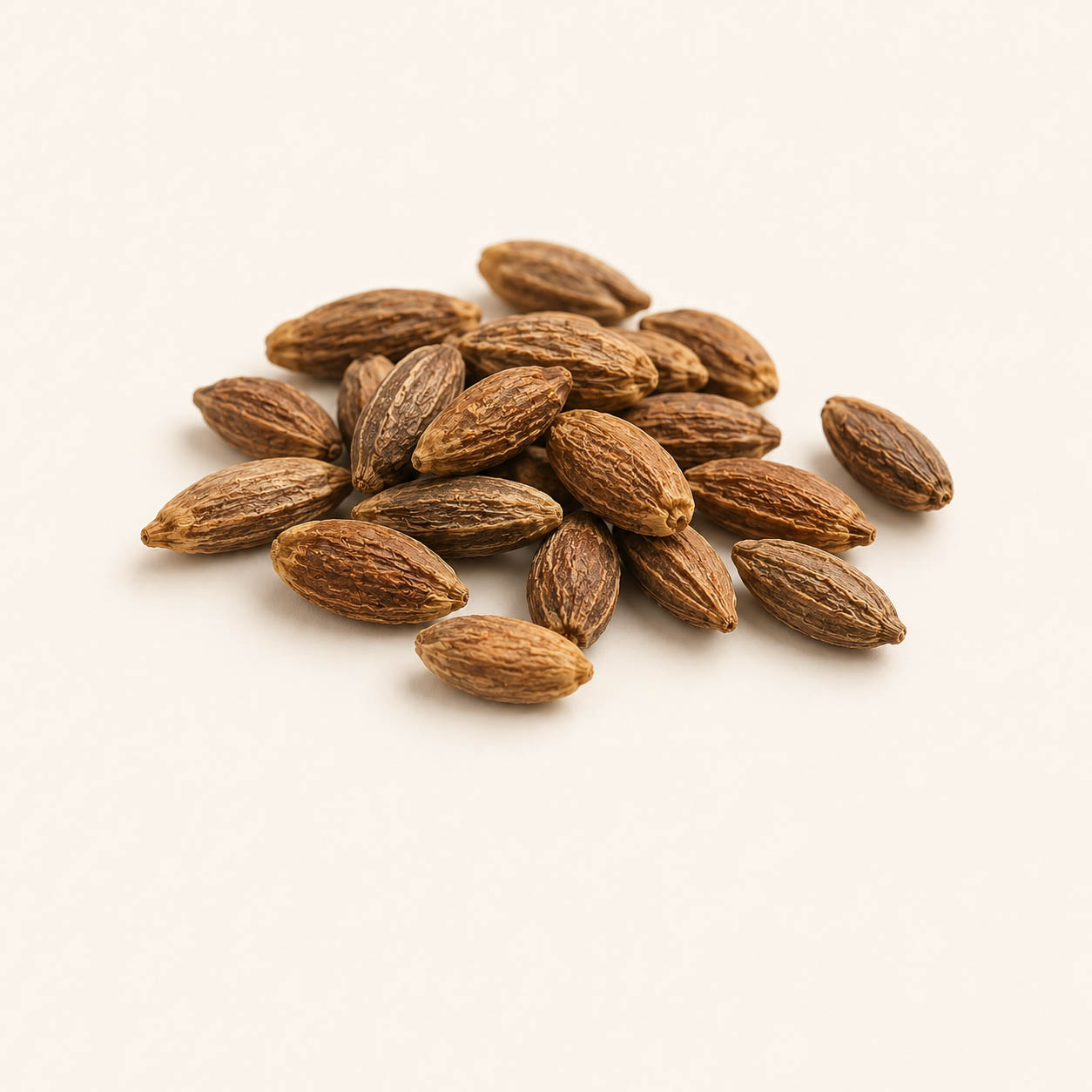 Sour Jujube Seed